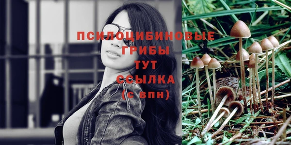 дживик Абинск