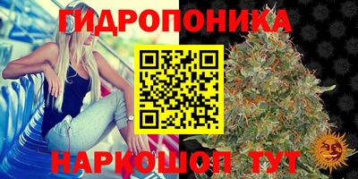 spice Свободный