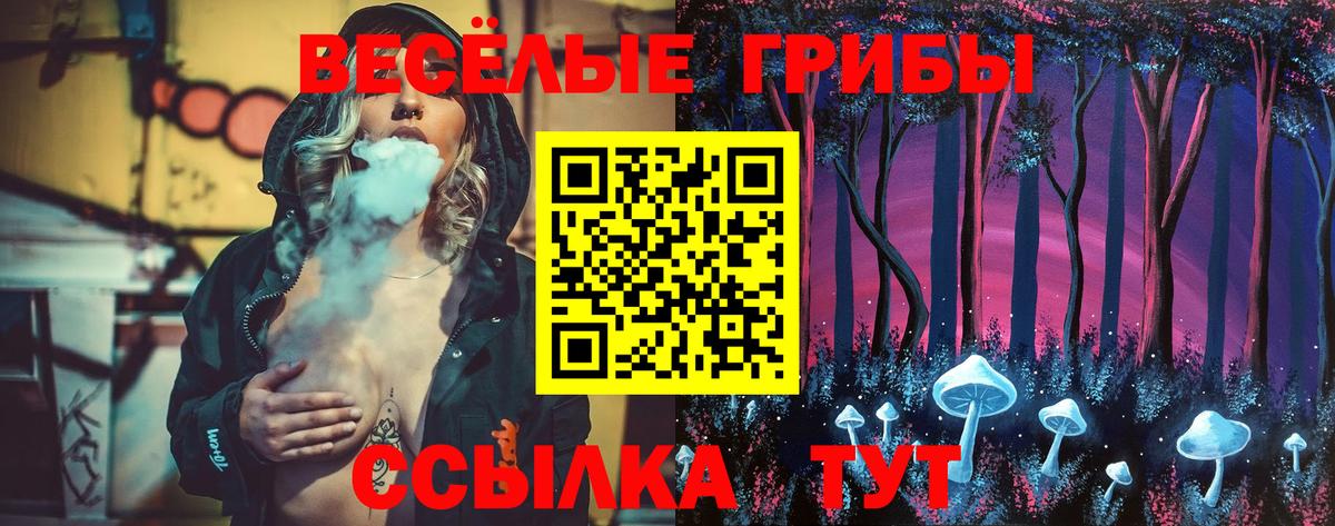 Галлюциногенные грибы мухоморы  Вход с VPN  Рассказово  Псилоцибиновые грибы прущие грибы 