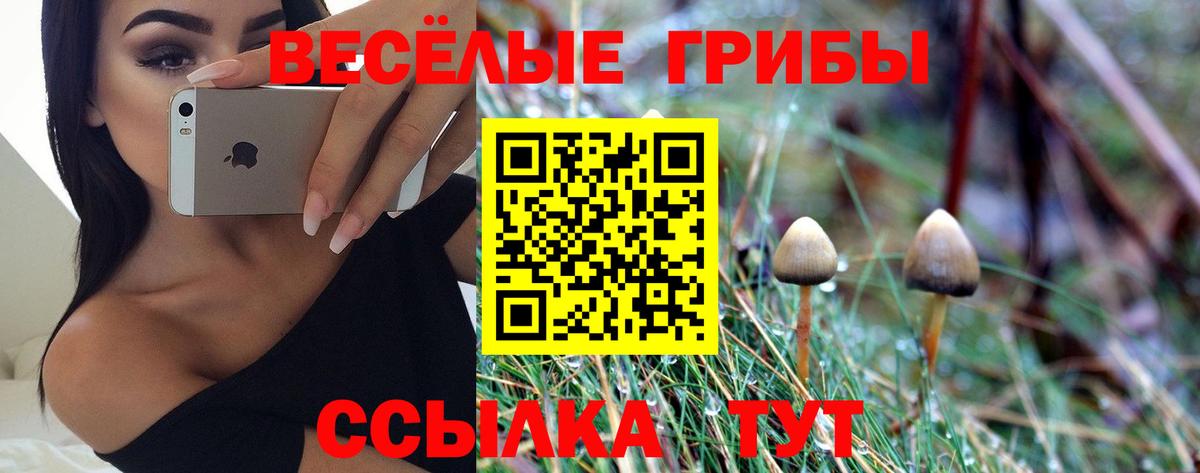 Галлюциногенные грибы GOLDEN TEACHER Рассказово
